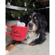 Taza Santa´s